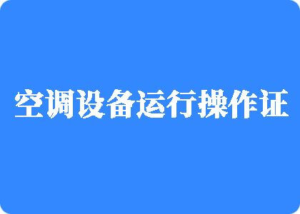 鸡巴骚逼免费视频制冷工证